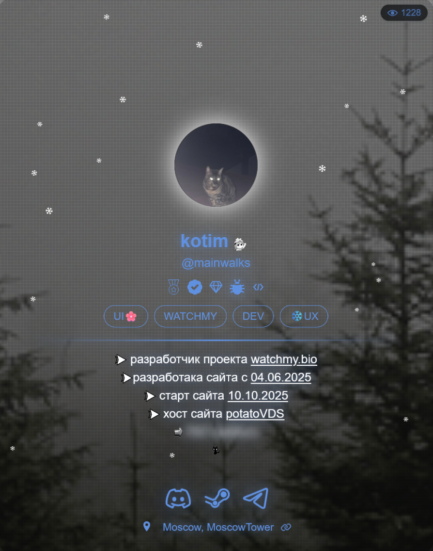 Пример оформления страницы watchmy.bio